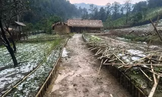Mưa đá kèm dông lốc ở miền núi Thanh Hóa