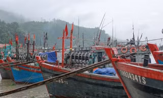Thanh Hoá: Chủ động sơ tán dân, ứng phó bão số 1