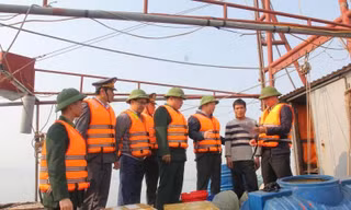 Thanh Hoá công bố danh sách 506 tàu cá có nguy cơ cao vi phạm khai thác IUU