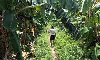 Khu vực được cho là xảy ra sự việc.