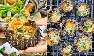 Những món ngon tuyệt hảo và lạ lẫm từ nhum biển, bạn đã từng thử chưa?