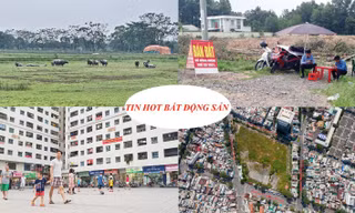 Gần 80% môi giới BĐS bỏ việc, đất nông nghiệp bị thu sẽ được bồi thường bằng nhà ở