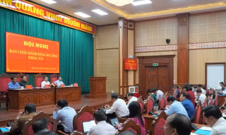 15 cán bộ thuộc diện Ban thường vụ Tỉnh ủy Kon Tum quản lý xin nghỉ hưu trước tuổi
