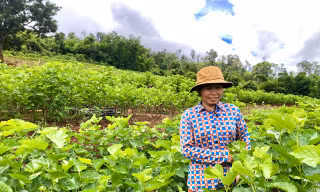 Thu nhập cao nhờ nghề 'ăn cơm đứng'