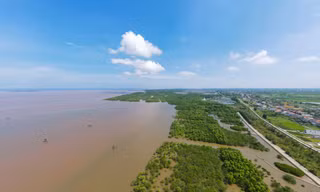 Khu rừng đặc dụng tại ba xã ven biển Nam Phú, Nam Hưng và Nam Thịnh, huyện Tiền Hải, tỉnh Thái Bình, còn gọi là khu Bảo tồn thiên nhiên đất ngập nước Tiền Hải.