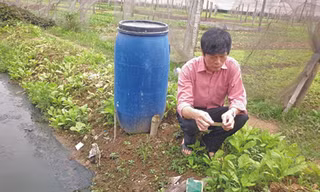 110 ngàn tấn thuốc - ai kiểm soát?