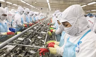 Theo dự báo, nhiều lĩnh vực, ngành nghề và mặt hàng xuất khẩu của Việt Nam sẽ bị cạnh tranh gay gắt. Ảnh: Như Ý 