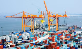 Việt Nam có thể trở thành 'vịnh tránh bão' trong cuộc chiến thương mại