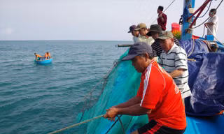 Những ngày này, ngư dân Quảng Ngãi vẫn xuất bến vươn khơi bám biển, khẳng định chủ quyền thiêng liêng của Tổ quốc. Ảnh Nguyễn Ngọc 