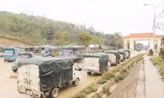 Xe hàng tinh bột sắn gặp khó xuất khẩu sang Trung Quốc