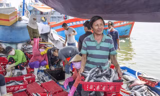  Thuyền trưởng Đỗ Bin ở huyện Bình Sơn (tỉnh Quảng Ngãi) và nhiều ngư dân khác phàn nàn chuyện xếp hàng chờ chữ ký 