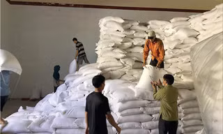 Từ 2021, các nhà thầu bỏ ký hợp đồng sẽ khó tham gia đấu thầu tiếp. Ảnh minh họa 