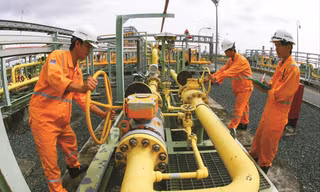 Năm 2020 là năm khó khăn với tất cả các doanh nghiệp lớn nhỏ của PVN 