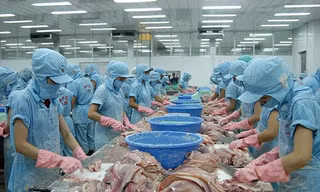 Nông sản, thủy sản sẽ được hưởng lợi lớn từ EVFTA. Ảnh: Châu Anh 