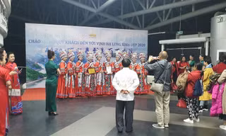 Chương trình bị dừng vì có dấu hiệu vi phạm