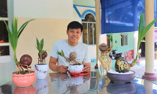 Bonsai dừa độc đáo, sản phẩm khởi nghiệp của chàng trai 9X Bến Tre