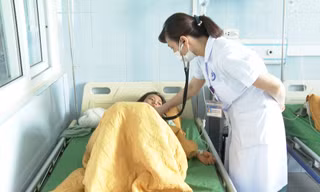 14 người nhập viện nghi ngộ độc nấm ở Lai Châu