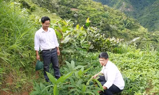 Đội viên dự án 600 Phó chủ tịch xã ứng cử HĐND?