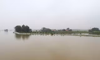 Nếu mưa lớn và nước trên thượng nguồn đổ về nhiều, đê tả Bùi sẽ gặp nhiều nguy hiểm. Ảnh: Trường Phong