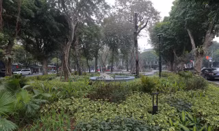 Độc đáo vườn hoa đưa thảm xanh ra sát mép đường ở Hà Nội