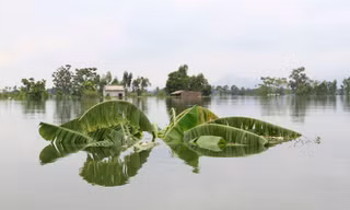 Hà Nội phủ nhận nguyên nhân ngập lụt do thủy điện Hòa Bình xả lũ. Ảnh: Trường Phong