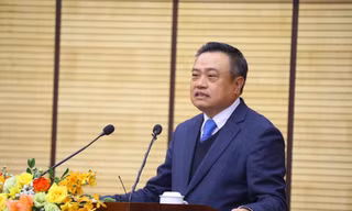 Chủ tịch Hà Nội: Nghiêm cấm cán bộ, công chức tác động xử lý vi phạm nồng độ cồn dịp Tết