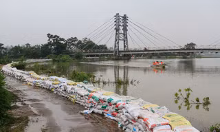 Đê tả Bùi đã qua giai đoạn nguy hiểm. Ảnh: Trường Phong