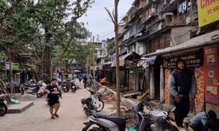 Hà Nội: Xử lý đơn vị thi công cải tạo hệ thống thoát nước tự ý chặt hạ nhiều cây xanh 