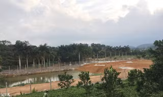 Lãnh đạo xã Yên Bài nói về đất nghi của Thứ trưởng Bộ TN&MT