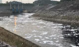 Bất ngờ kênh dẫn nước Yên Sở bọt trắng như băng đổ ra sông Hồng, đơn vị vận hành nói gì?