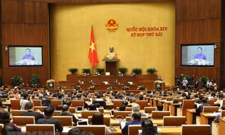 Xử nghiêm cán bộ lãnh đạo có vi phạm, kể cả đương chức hay nghỉ hưu