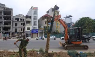 Trồng mới hàng cây xanh trên đường Huỳnh Thúc Kháng kéo dài