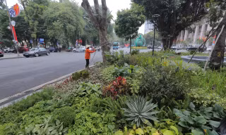 Hà Nội: Cải tạo vườn hoa Diên Hồng là 'tiếp sức lịch sử văn hoá'