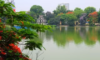 Chưa tìm thấy 'cụ rùa' nào khác trong hồ Gươm