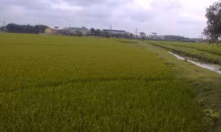 Rủ bé gái đi câu cá để giao cấu