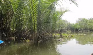 Hiện trường vụ việc