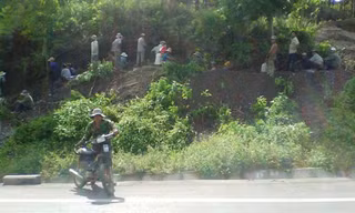 Dân phá tung quốc lộ để tìm... gỗ sưa