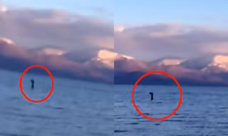 Xuất hiện sinh vật bí ẩn nghi ‘quái vật hồ Loch Ness’