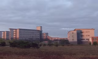 Trường Đại học Khoa học và Công nghệ Bình Nhưỡng.