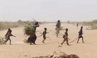 Hạn hán nghiêm trọng đang giết dần Somalia. Ảnh: Twitter