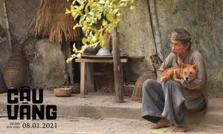 Lão Hạc và “câu Vàng” 3xuất hiện trên màn ảnh có giống như những gì khán giả đã hình dung?