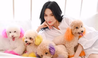 Sĩ Thanh