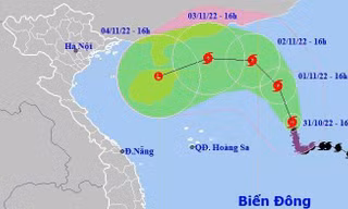 Dừng cấp phép bay, tàu, thuyền đi vào vùng ảnh hưởng bão số 7