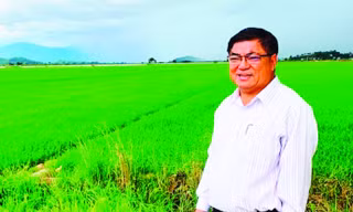 Ông Tuyên thăm đồng lúa mang thương hiệu của huyện Lắk