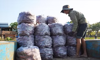 Nông dân huyện Phú Thiện đang phải bán lẻ từng cân khoai lang