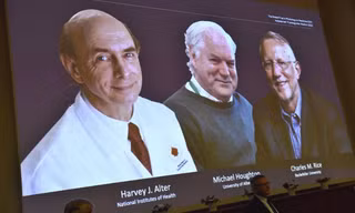 Ba nhà khoa học đoạt giải Nobel Y học 2020