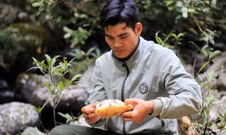 'Bí kíp' lấy mật ong rừng của người Ba Na