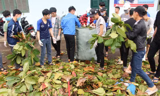 Bão số 13 sắp đổ bộ, sinh viên Đà Nẵng, Huế lại nghỉ học