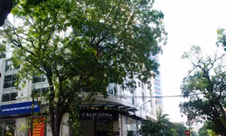 Chợ Âm phủ và cây bồ đề trăm tuổi