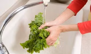 Bé 10 tháng tuổi nhiễm sán lá gan lớn